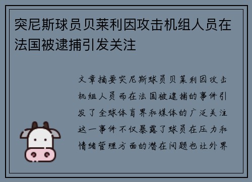 突尼斯球员贝莱利因攻击机组人员在法国被逮捕引发关注