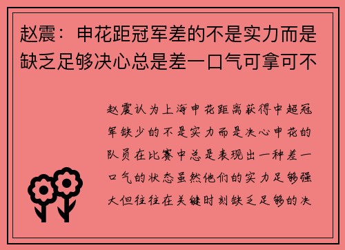 赵震：申花距冠军差的不是实力而是缺乏足够决心总是差一口气可拿可不拿